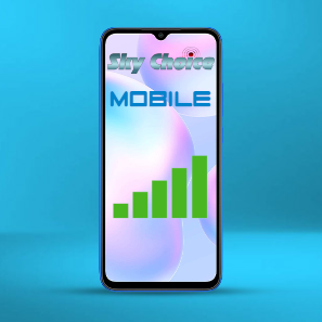 Mobile service