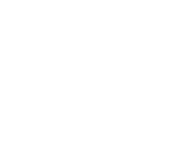 AIR MILES