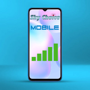 Mobile service Mobile service